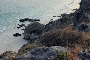 Salalah: West-Salalah-Tour mit Schwimmen am Fazayah-Strand, Schildkröten