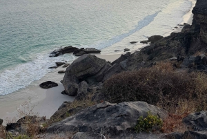 Salalah: West-Salalah-Tour mit Schwimmen am Fazayah-Strand, Schildkröten