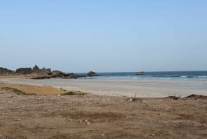 Salalah: West-Salalah-Tour mit Schwimmen am Fazayah-Strand, Schildkröten