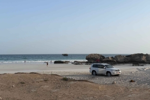 Salalah: West-Salalah-Tour mit Schwimmen am Fazayah-Strand, Schildkröten