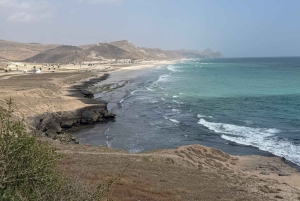 Salalah: West-Salalah-Tour mit Schwimmen am Fazayah-Strand, Schildkröten