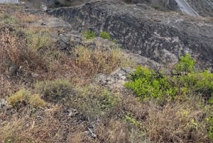 Salalah: West-Salalah-Tour mit Schwimmen am Fazayah-Strand, Schildkröten