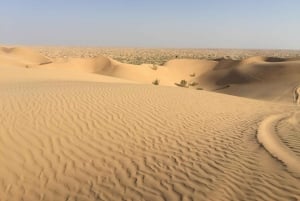 رمال وعبير الربع الخالي: رحلة ملحمية في رحلة البخور