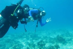 Scuba diving and free diving in Oman and islands