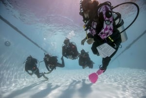 Scuba diving and free diving in Oman and islands