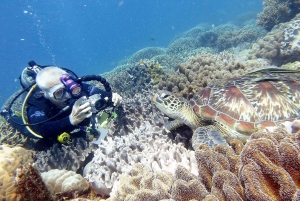 Scuba Diving Tours To Daymaniyat Islands.