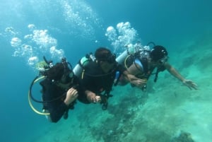 Excursions de plongée sous-marine aux îles Daymaniyat.