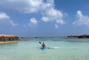 جرّب جولات الغوص إلى جزر الديمانيات.