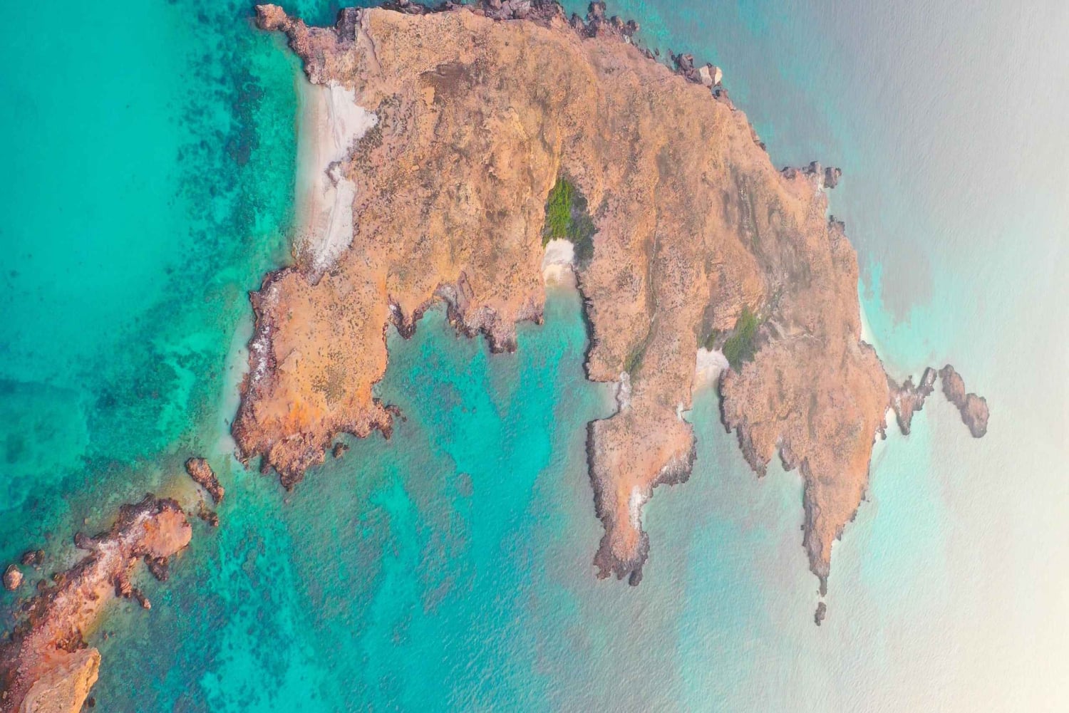 السيب: رحلة ليوم واحد للغوص والرياضات المائية في جزيرة ديمانيات