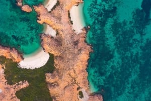 السيب: رحلة ليوم واحد للغوص والرياضات المائية في جزيرة ديمانيات