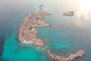 السيب: رحلة ليوم واحد للغوص والرياضات المائية في جزيرة ديمانيات