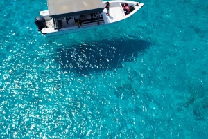 Seebeye: Meerestouren zur Insel Dimaniyat