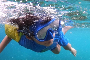 Seebeye: Meerestouren zur Insel Dimaniyat