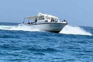 Snorkelen bij de Dimaniyat-eilanden vanuit Muscat