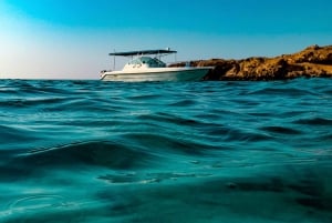 Snorkling med sköldpaddor vid Ad Daymaniyat Islands