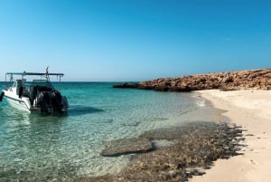 Snorkling med sköldpaddor vid Ad Daymaniyat Islands