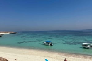 Snorkling med sköldpaddor vid Ad Daymaniyat Islands