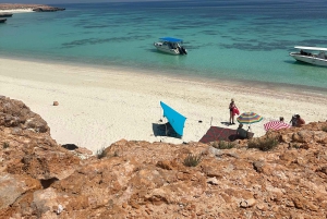 Mergulho com snorkel com tartarugas nas Ilhas Ad Daymaniyat