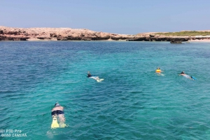 Snorkelling Tours to Daymaniyat islands