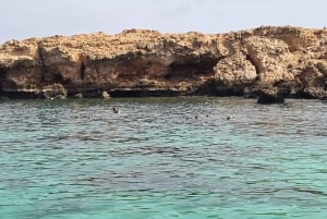 Snorklingsturer till Daymaniyat-öarna