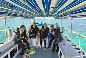 Snorkelling Tours to Daymaniyat islands
