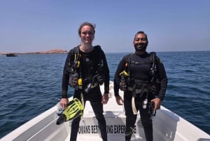 Snorkelture til Daymaniyat-øerne