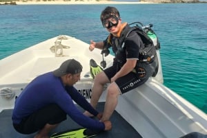 Daymaniyat Island: snorkeltour met lekkere lunch