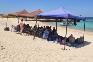 Daymaniyat Island: snorkeltour met lekkere lunch