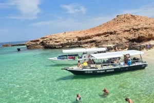 Daymaniyat Island: snorkeltour met lekkere lunch