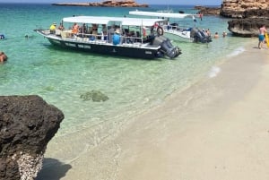 Daymaniyat Island: snorkeltour met lekkere lunch