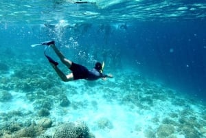 From Muscat: Snorkeling Trip (Dimaniyat Island trip)