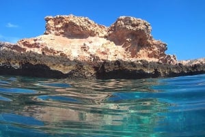 From Muscat: Snorkeling Trip (Dimaniyat Island trip)