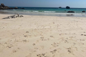 Starlit Shores: Overnight 4WD Adventure at Fazayah Beach