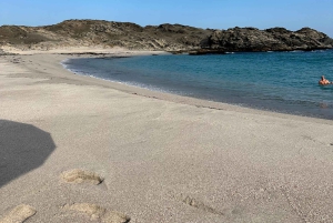 شواطئ مضاءة بالنجوم: مغامرة ليلية بسيارة دفع رباعي على شاطئ الفزاية