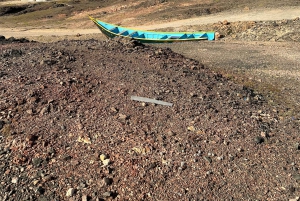 شواطئ مضاءة بالنجوم: مغامرة ليلية بسيارة دفع رباعي على شاطئ الفزاية