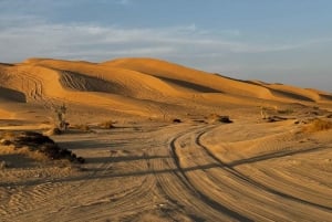 Stars & Sand: A Magical Desert Overnight Experience