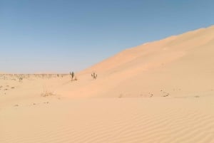Sunset Desert Empty Quarter Desert - Full Day With Lunch