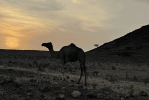 Pôr do sol no deserto com pick up