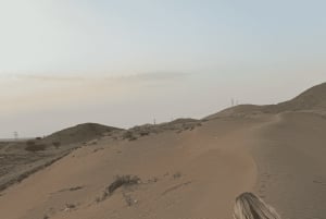 Pôr do sol no deserto com pick up