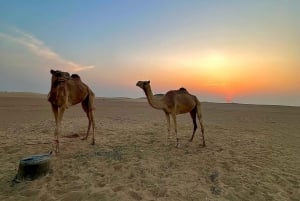 La Magia del Atardecer: Experiencia de Recorrido por el Desierto del Barrio Vacío