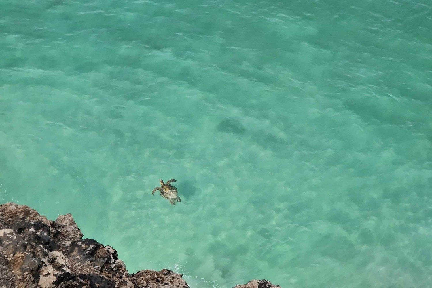 Taqah City Tour, Wadi Darbat, and East Dhofar Adventure