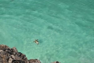 Taqah City Tour, Wadi Darbat, and East Dhofar Adventure