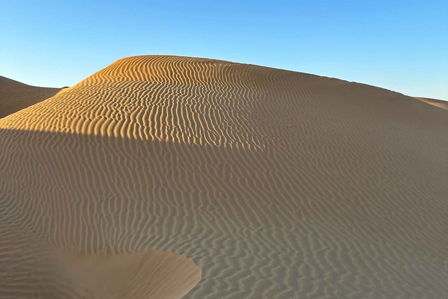 Ørkenrundvisning i det tomme kvarter