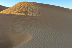 Tournée dans le désert de The Empty Quarter