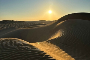 Ørkenrundvisning i det tomme kvarter