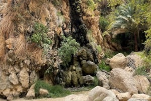 جولة فاطمة - 2 يوم وليلة في رأس الحد، باقة رحلات سياحية في رأس الحد، عُمان