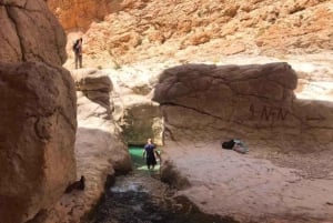 جولة فاطمة - 2 يوم وليلة في رأس الحد، باقة رحلات سياحية في رأس الحد، عُمان