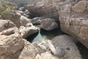 Tour Fatimah-2 Day 1 Night in Ras Al Hadd,Oman Tours Package