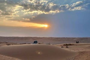 Visitez le Wadi Bani Khalid et le désert – Vivez la nature et l'aventure