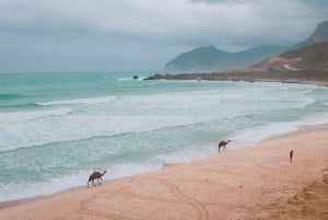 Salalah:Fazayah Beach of the Indian Ocean and Mughsail Beach